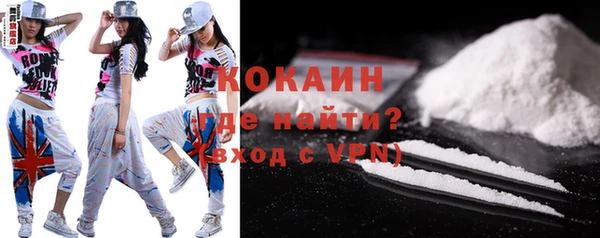 гашик Зеленокумск