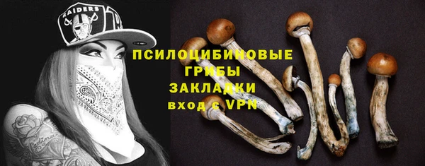 гашик Зеленокумск